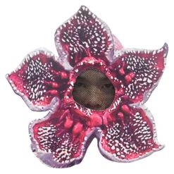 Stranger Things Demogorgon Cosplay Disfraz Halloween Zentai Traje Y Máscara 7 Stranger Things Demogorgon Cosplay Disfraz Halloween Zentai Traje Y Máscara -Halloween Ventas 202008261403304182974